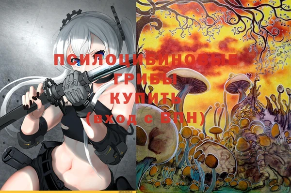 метадон Лихославль