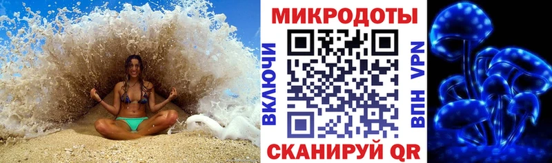 Галлюциногенные грибы прущие грибы  Грайворон 